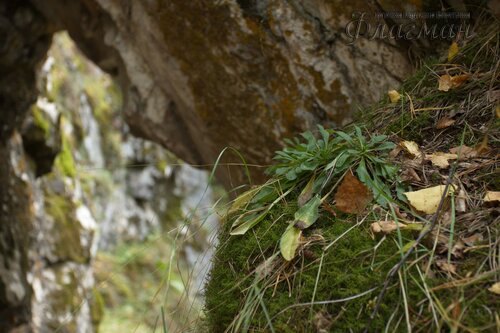 IMG_2753_r